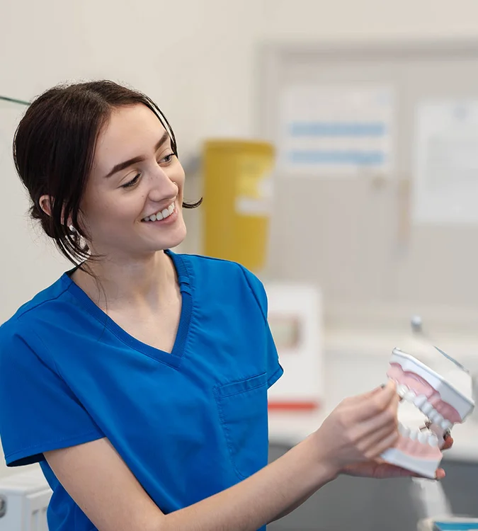 Dental hygienist holding a model of teeth and smiling