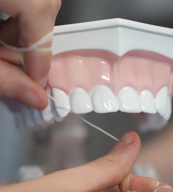 Close-up of floss being used on a model of teeth